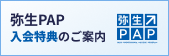 �퐶PAP������T�̂��ē�